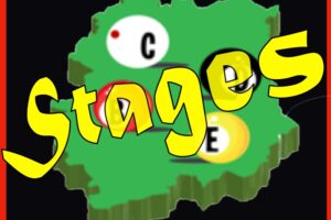 Des stages de billard gratuits pour progresser dans l’Essonne !